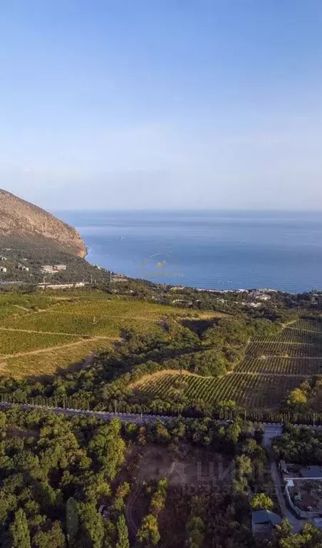 Участок в Крым, Ялта муниципальный округ, Краснокаменка пгт ул. ... - Фото 1