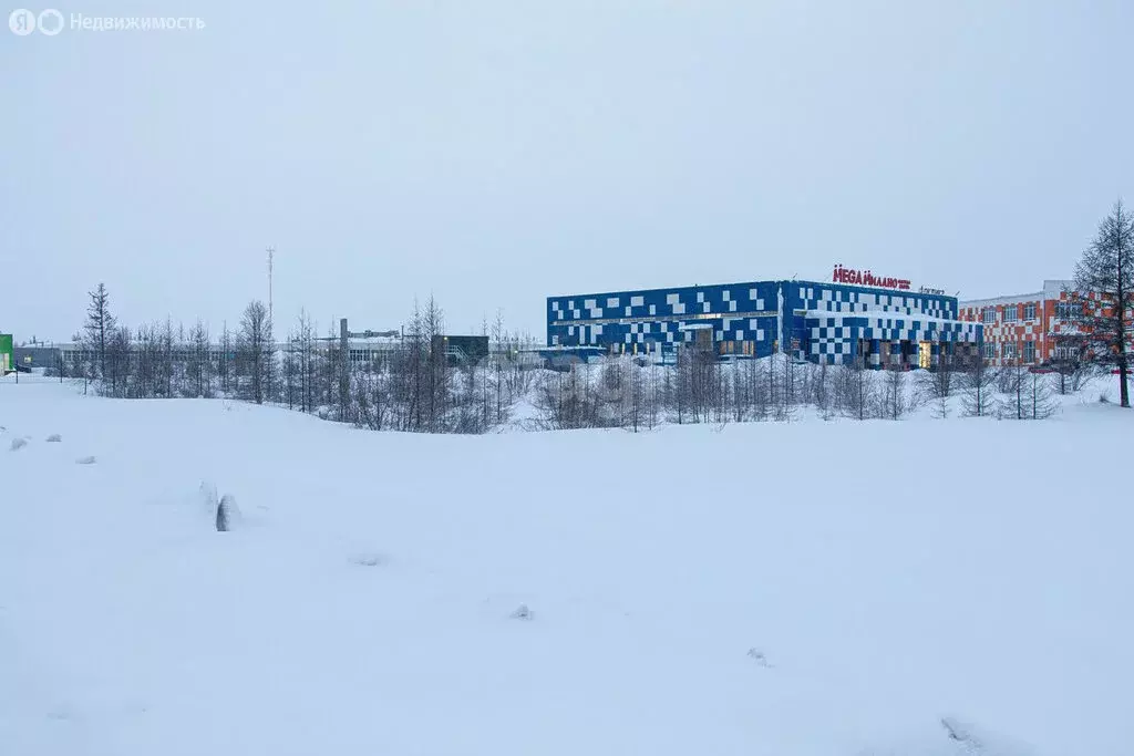 Участок в Новый Уренгой, 1-й микрорайон (21.87 м) - Фото 0