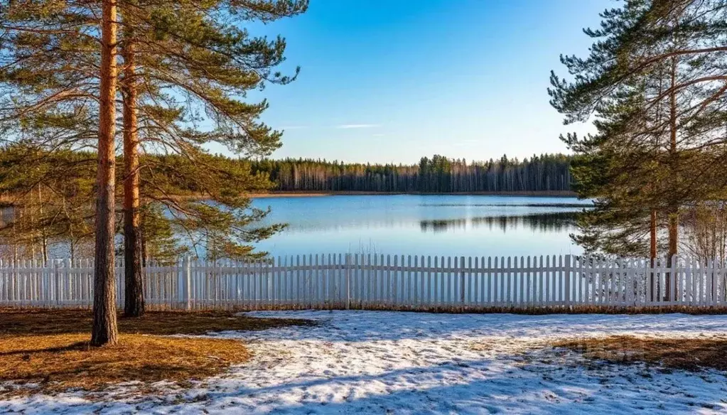 Участок в Московская область, Волоколамский муниципальный округ, д. ... - Фото 1