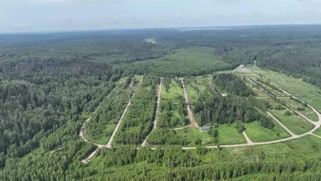 Участок в Ленинградская область, Приозерский район, Раздольевское ... - Фото 1