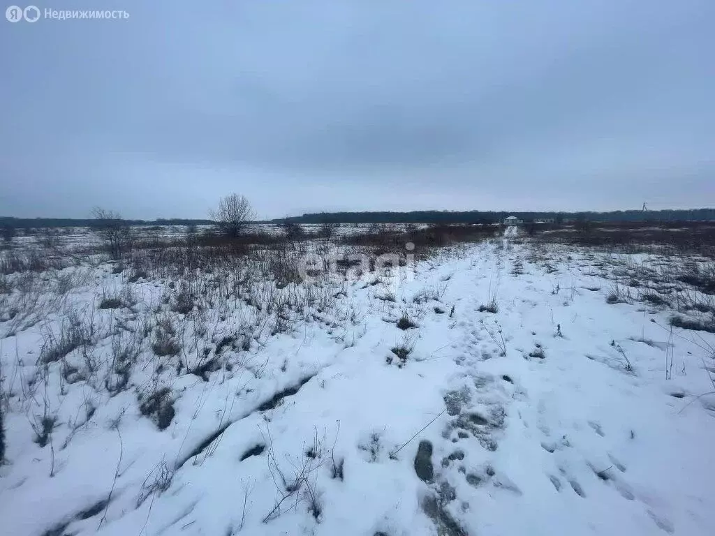 Участок в Калининградская область, Гурьевский муниципальный округ, ... - Фото 0