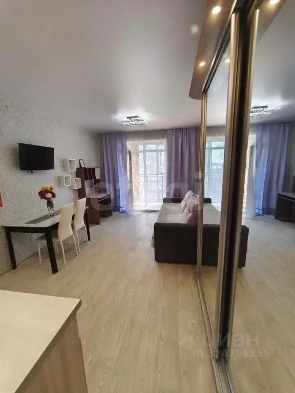 Студия Новосибирская область, Новосибирск Красный просп., 311 (27.5 м) - Фото 2