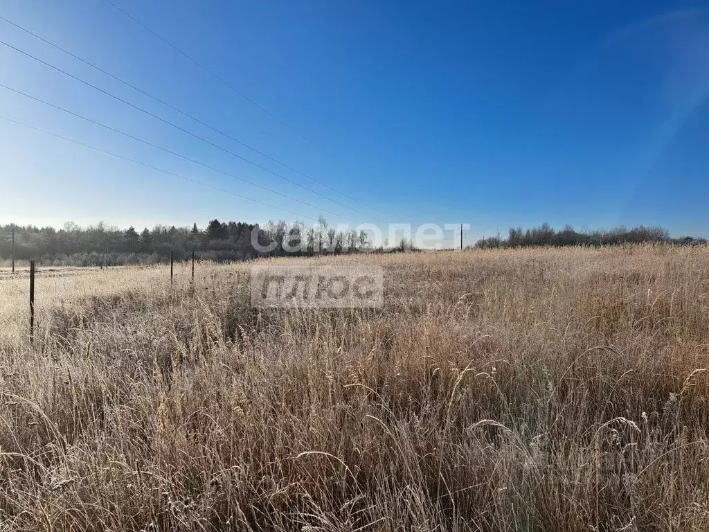 Участок в Владимирская область, Александровский муниципальный округ, ... - Фото 1