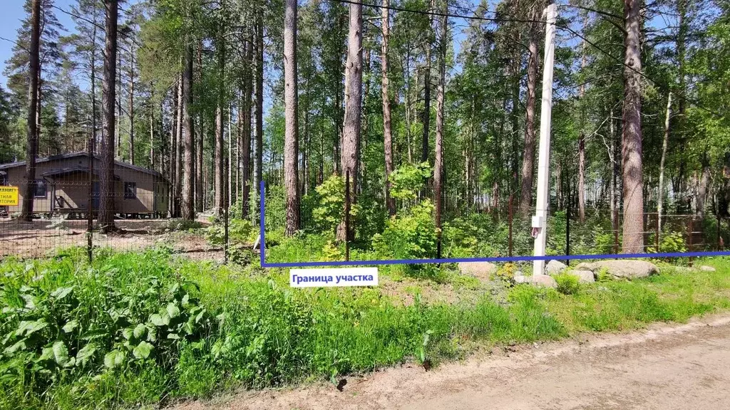 Участок в Ленинградская область, Приозерский район, Раздольевское ... - Фото 0