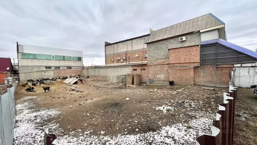 Купить Дом В Грозном Поселок Калинина