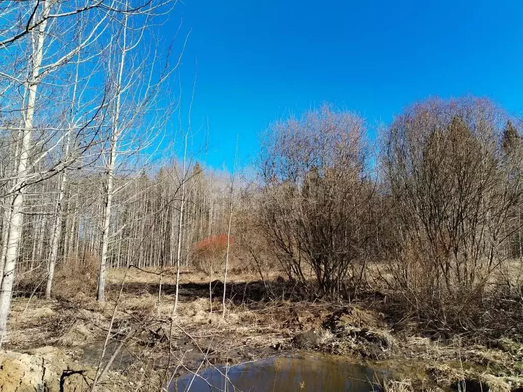 Участок в Вологодская область, д. Вотолино  (12.0 сот.) - Фото 1