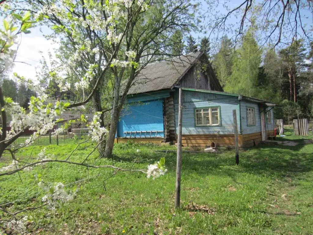 Дом в Туношенское сельское поселение, деревня Ключи (30 м) - Фото 1