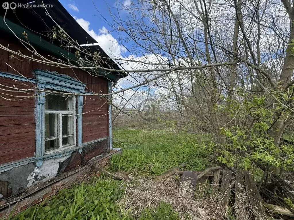 Участок в село Нижнеспасское, Садовая улица, 10 (43 м) - Фото 2