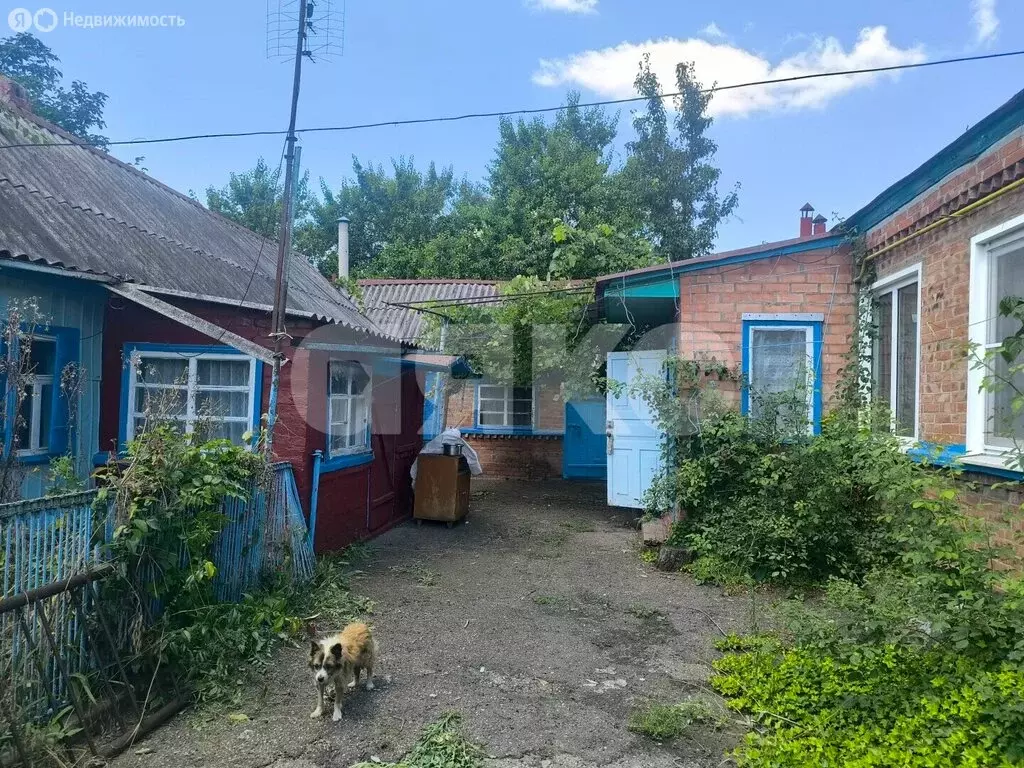 Дом в станица Бесскорбная, улица Лукьянова, 52 (57.2 м) - Фото 1