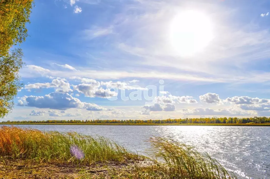 Участок в Татарстан, Лаишевский район, Нармонское с/пос, с. Тетеево  ... - Фото 0