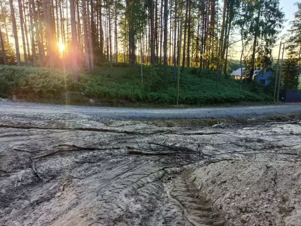 Участок в Ленинградская область, Всеволожский район, Куйвозовское ... - Фото 1