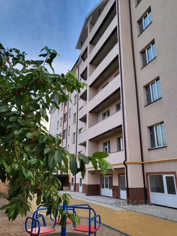 3-к кв. Воронежская область, Воронеж Скорняжный пер., 10 (109.0 м) - Фото 2