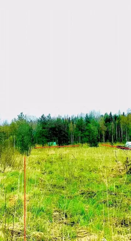 Участок 20 сот. (СНТ, ДНП) - Фото 1