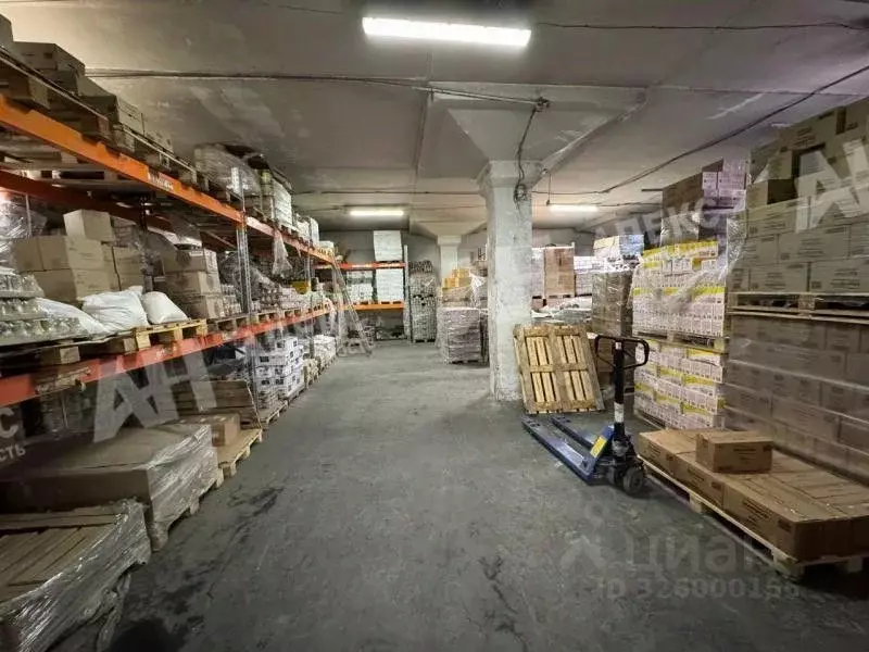 Склад в Москва Рябиновая ул., 51АС1 (390 м) - Фото 2