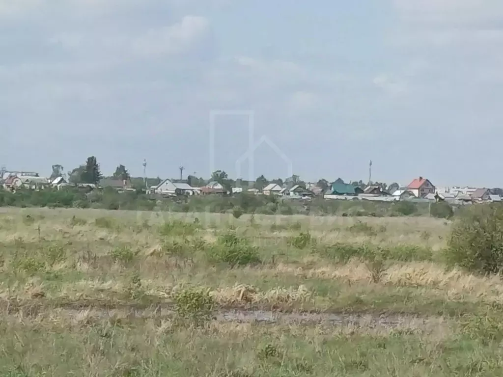 Участок в Тамбовская область, Тамбов городской округ, с. Бокино, Новый ... - Фото 1