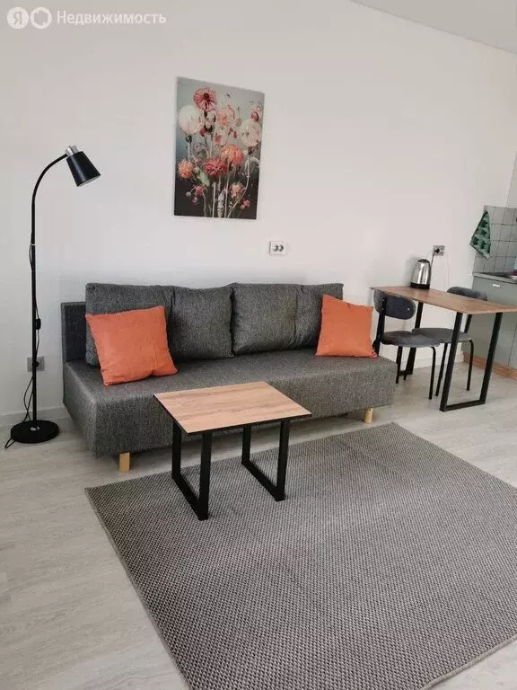 Квартира-студия: Санкт-Петербург, проспект Ветеранов, 210 (24.5 м) - Фото 2