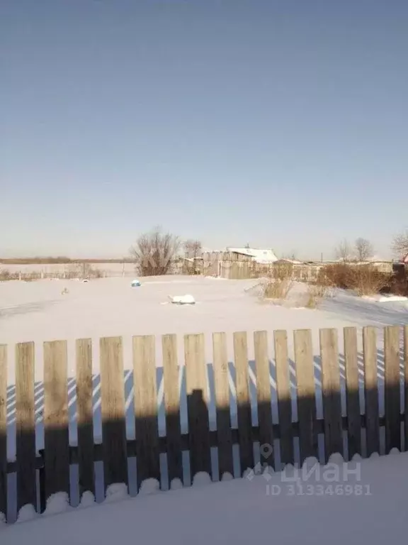 Участок в Томская область, Томск Коммунальщик СНТ, ул. Клубничная ... - Фото 0