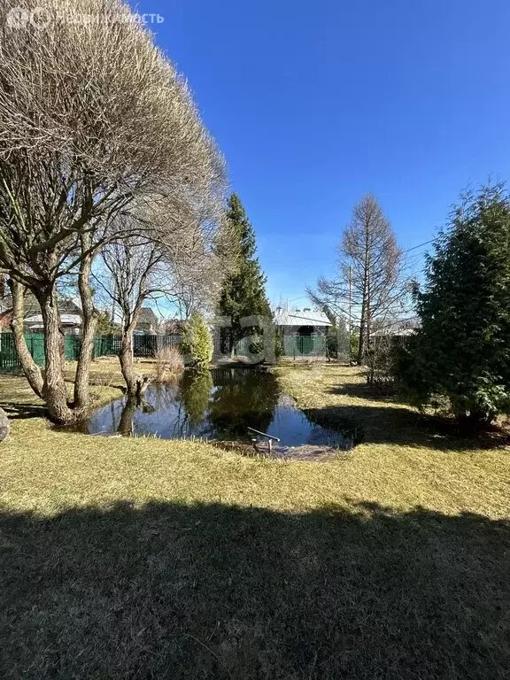 Участок в Сестрорецк, СНТ Разлив, 20-я дорожка (5.6 м) - Фото 1