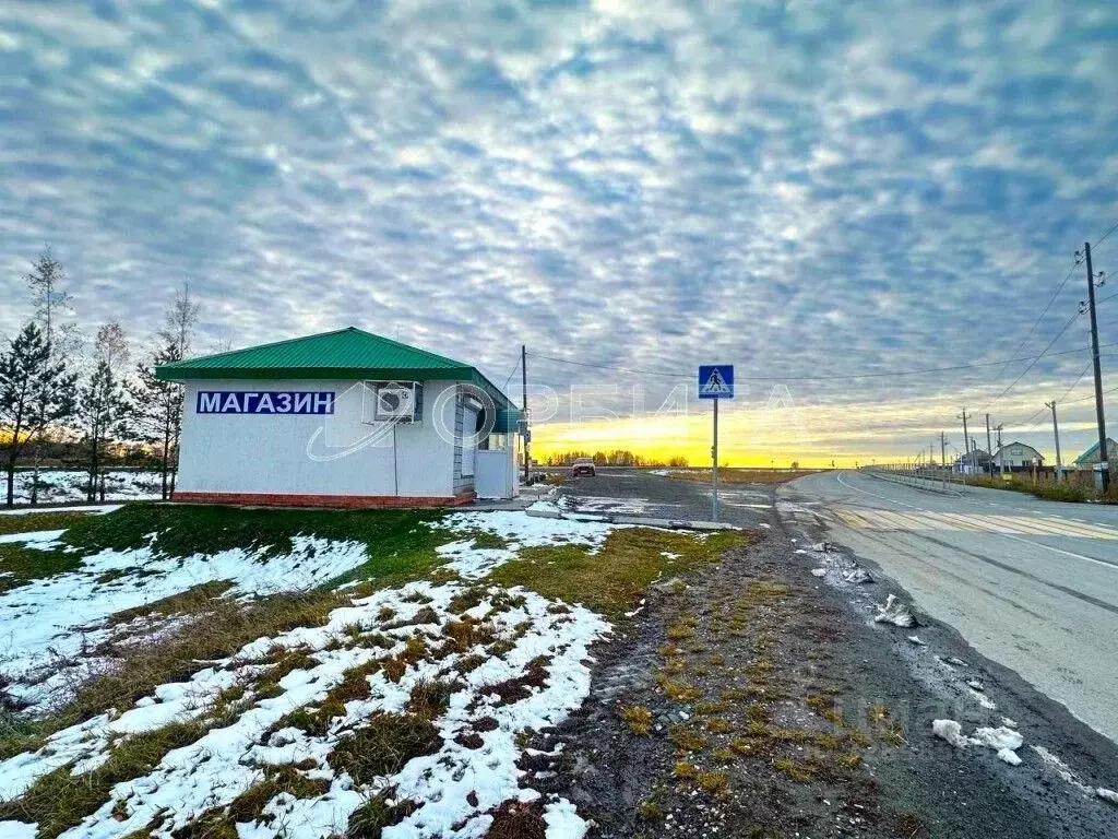 Помещение свободного назначения в Тюменская область, Тюменский ... - Фото 1