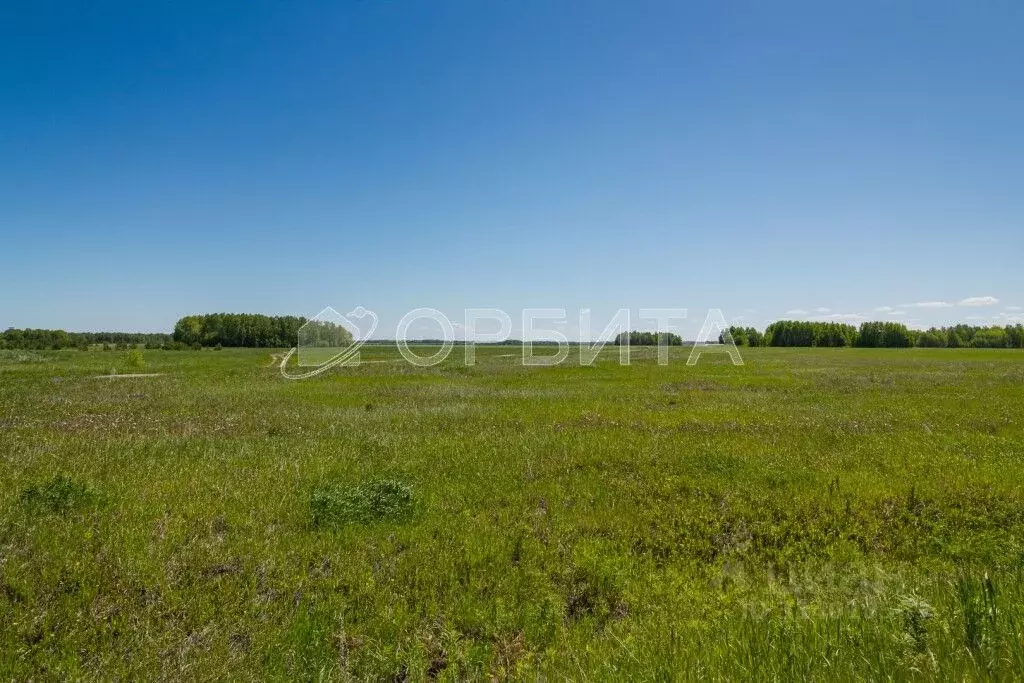 Участок в Тюменская область, Тюменский район, с. Салаирка  (850.0 ... - Фото 0