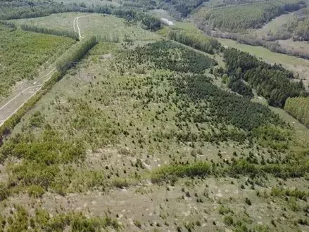 Участок в Татарстан, Зеленодольский район, Большеякинское с/пос, с. ... - Фото 1