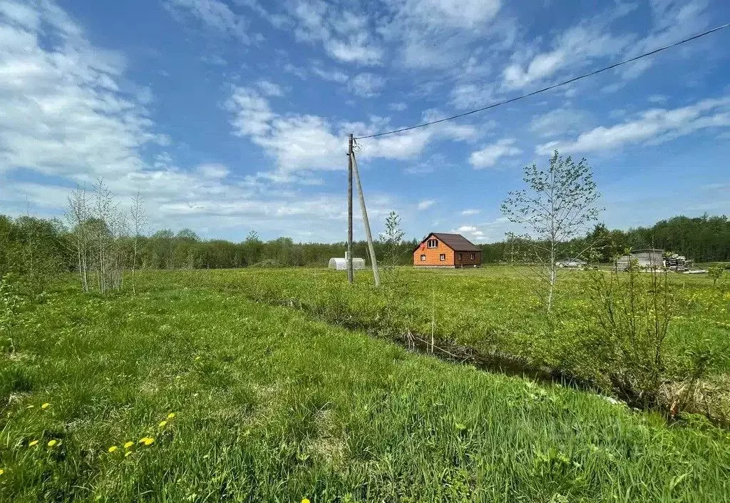 Участок в Московская область, Чехов муниципальный округ, с. Молоди ул. ... - Фото 2