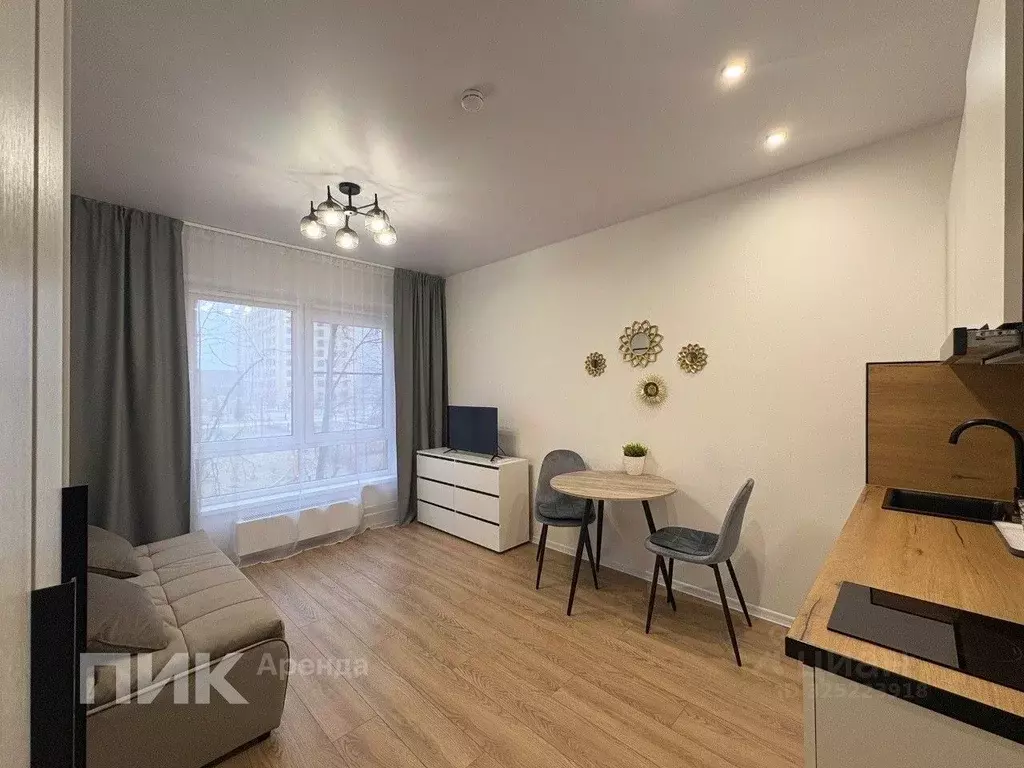 Студия Московская область, Одинцово ул. Березовая, 3 (19.8 м) - Фото 2