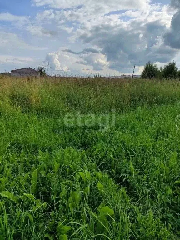 Участок в Ярославская область, Ярославский муниципальный округ, д. ... - Фото 1