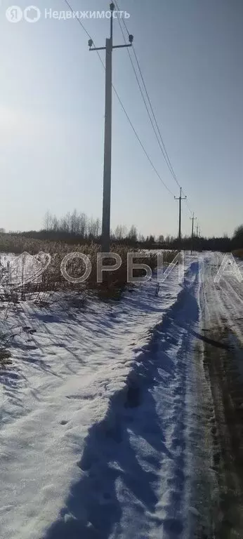 Участок в Тюмень, садовое товарищество Ясень (7.5 м) - Фото 2