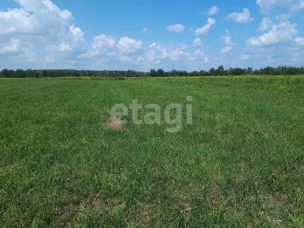 Участок в Брянская область, Брянский район, Отрадненское с/пос, с. ... - Фото 1