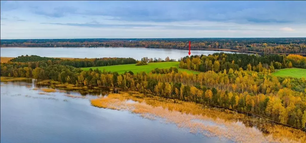 Участок в Ленинградская область, Приозерский район, Громовское с/пос, ... - Фото 0