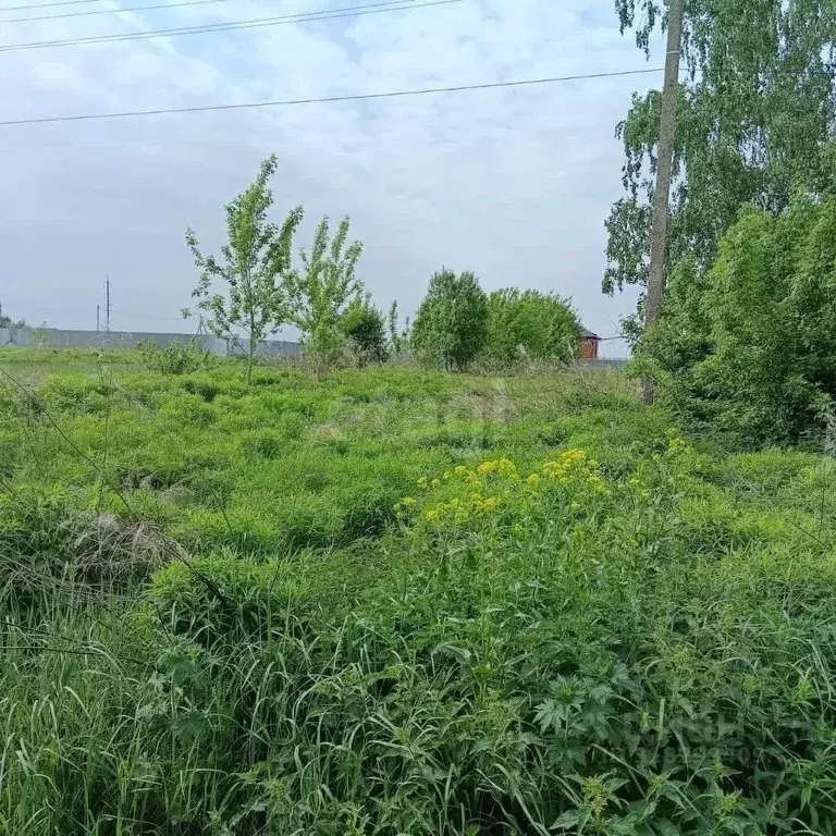 Участок в Брянская область, Брянский район, Отрадненское с/пос, д. ... - Фото 1