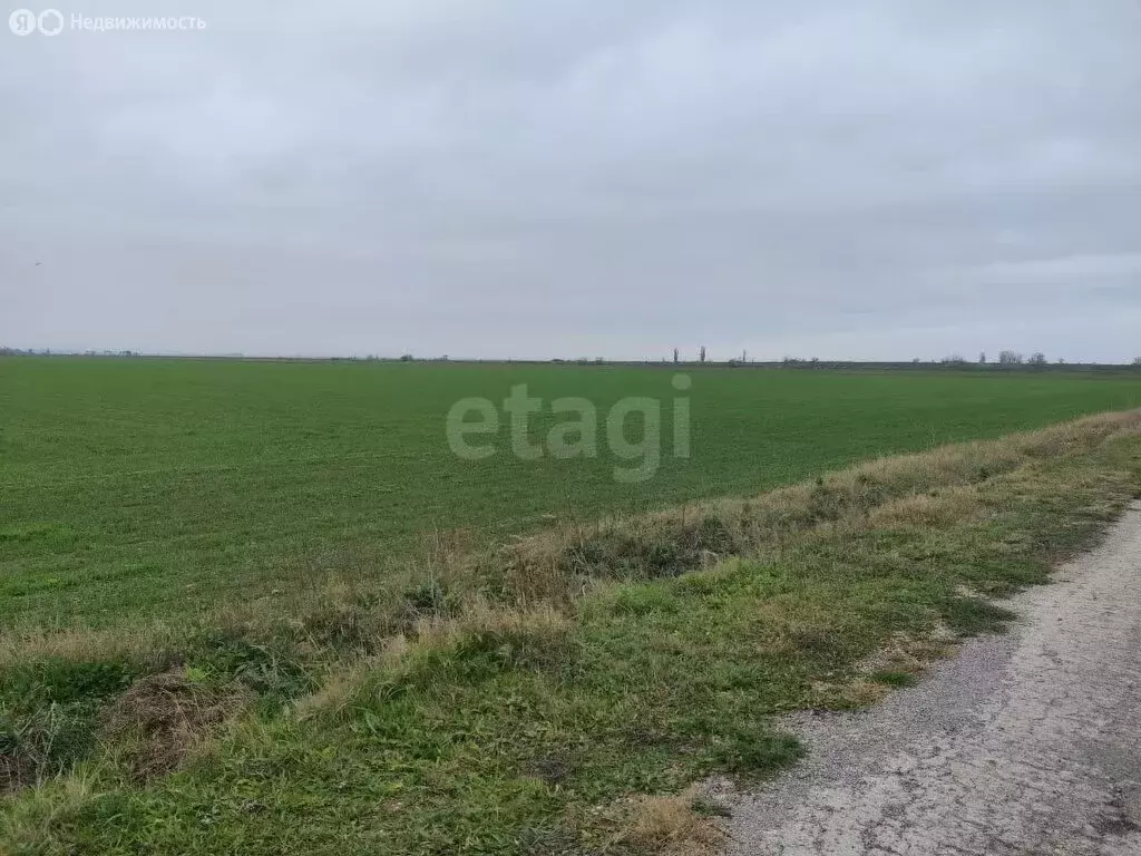 Участок в Восточное, Новая улица, 1 (118.32 м) - Фото 1