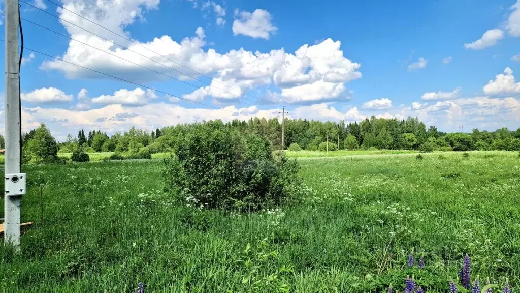 Участок в Владимирская область, Александровский район, Каринское ... - Фото 1