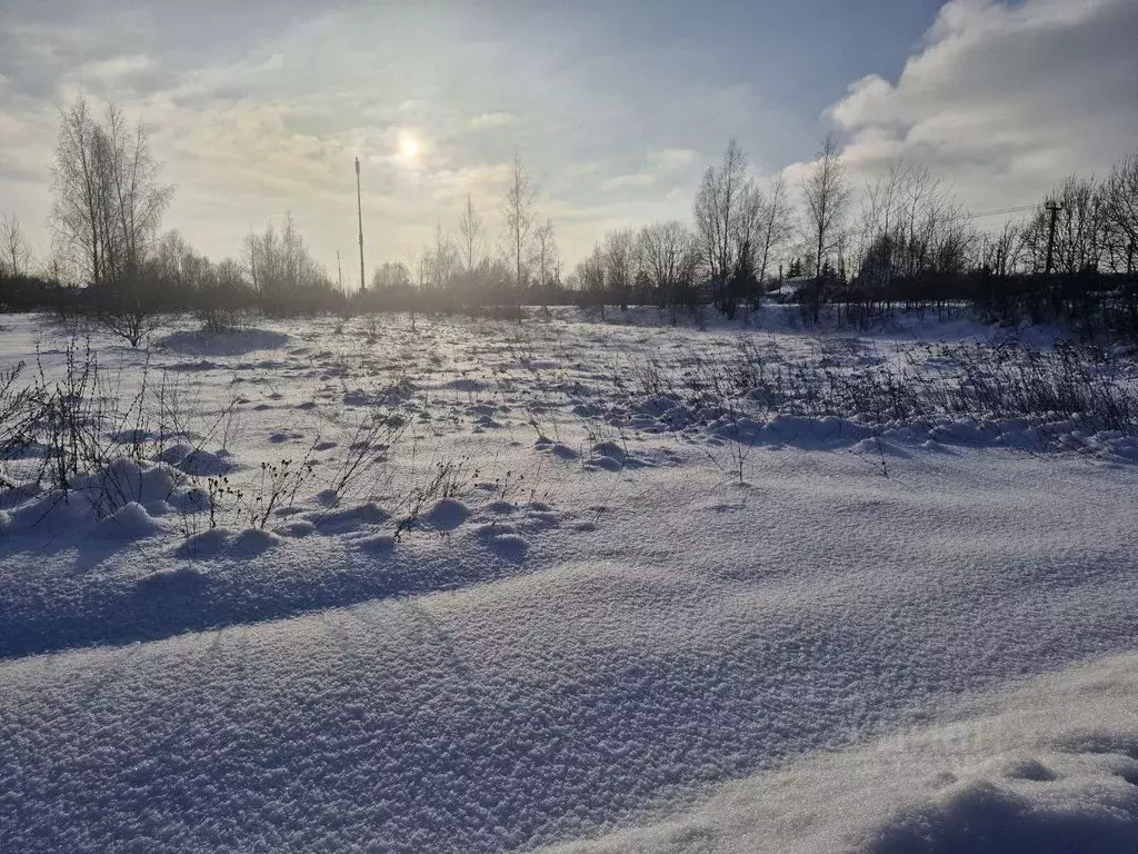 Участок в Московская область, Ступино городской округ, д. ... - Фото 1
