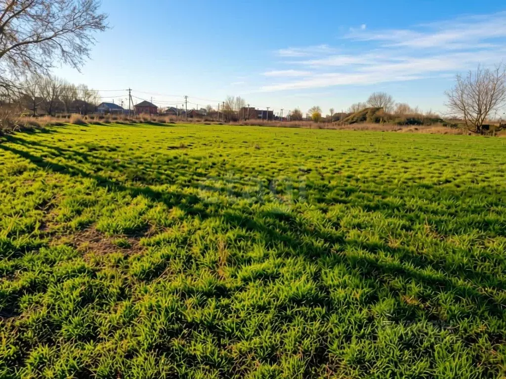 Участок в Краснодарский край, Славянск-на-Кубани Проточная ул., 190 ... - Фото 2