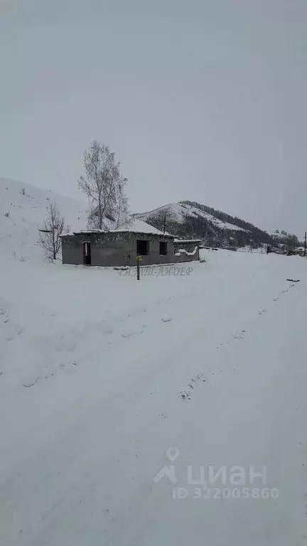 Участок в Алтайский край, Алтайский район, Айский сельсовет, с. Ая ул. ... - Фото 1