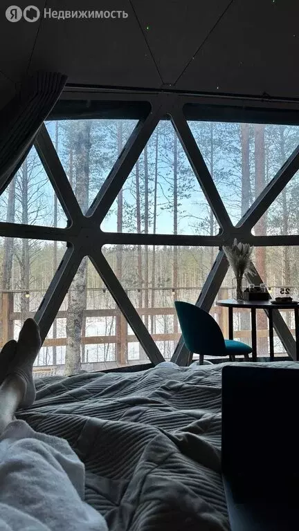 Квартира-студия: Санкт-Петербург, Тележная улица, 29 (21 м) - Фото 1