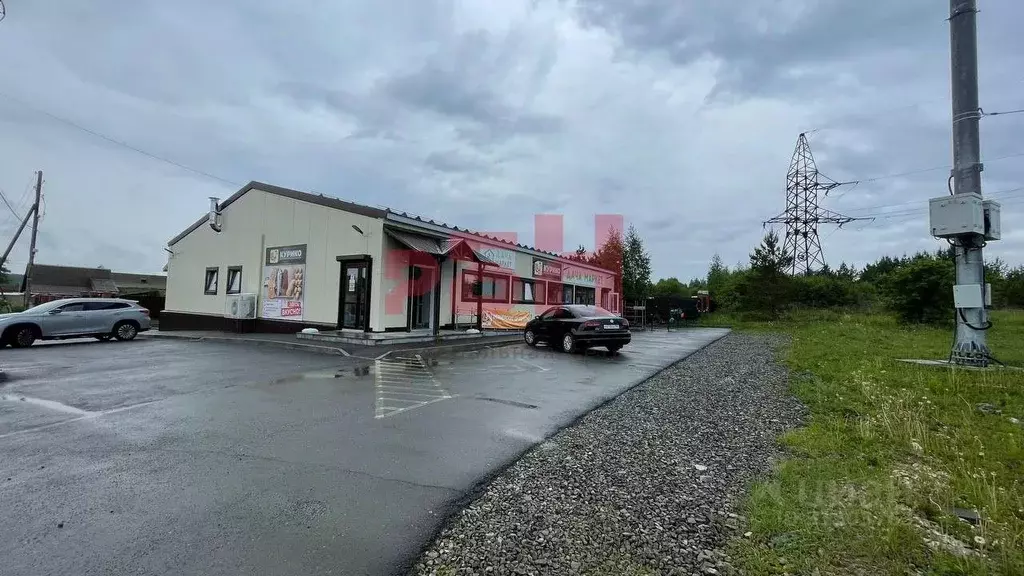 Помещение свободного назначения в Свердловская область, Сысертский ... - Фото 0