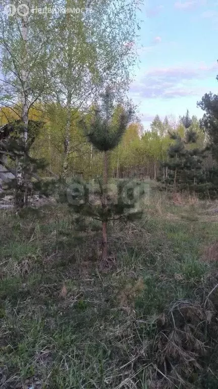 Участок в деревня Толвинка, жилой комплекс Подмосковье, улица Охотный ... - Фото 0