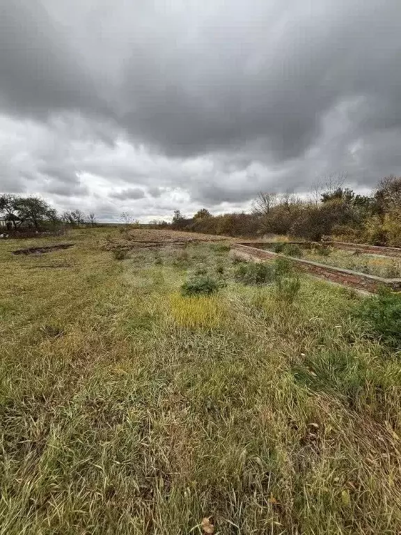Участок в Белгородская область, Корочанский район, Ломовское с/пос, с. ... - Фото 2