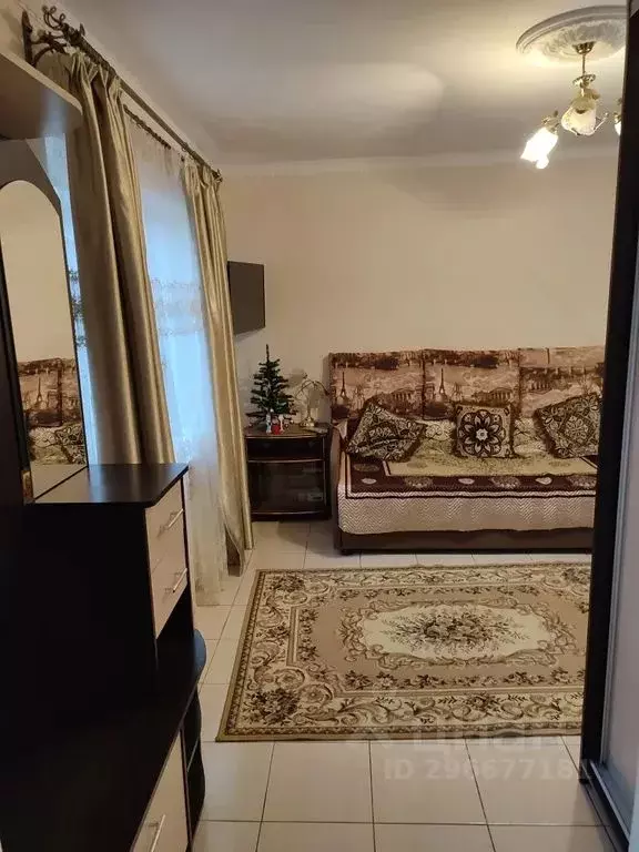 1-к кв. Ставропольский край, Ессентуки ул. Нелюбина, 10 (16.0 м) - Фото 1