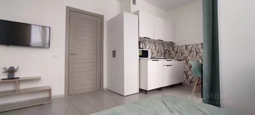 Студия Санкт-Петербург пос. Шушары, просп. Старорусский, 5к1 (21.5 м) - Фото 1