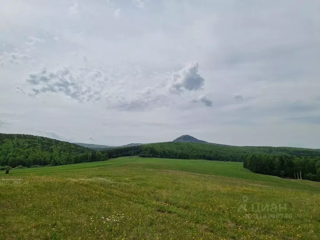 Участок в Красноярский край, Березовский район, Зыковский сельсовет, ... - Фото 0