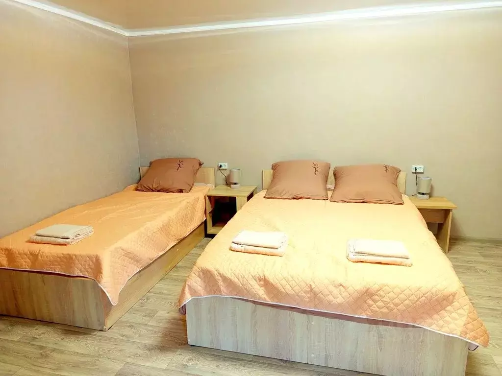 Комната Воронежская область, с. Верхний Мамон ул. Пионерская, 19 - Фото 1