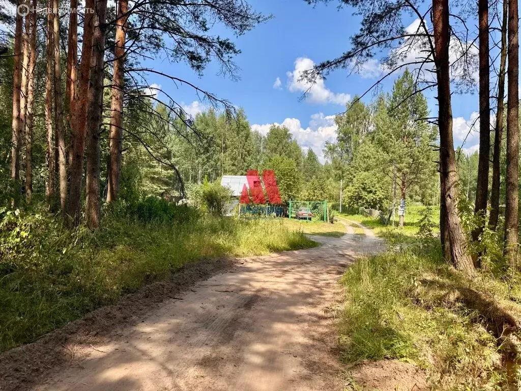 Участок в Ярославский муниципальный округ, СНОТ Калинка (16 м) - Фото 0