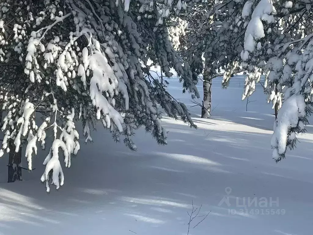 Дом в Пензенская область, Городищенский район, д. Верхний Крутец ул. ... - Фото 2