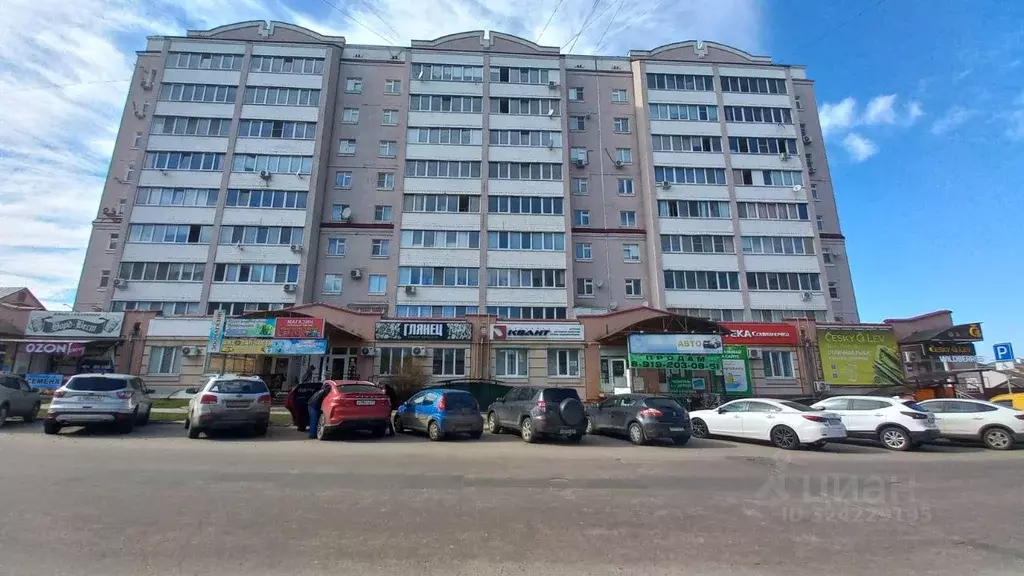 Торговая площадь в Орловская область, Орел ул. Латышских Стрелков, 6 ... - Фото 2