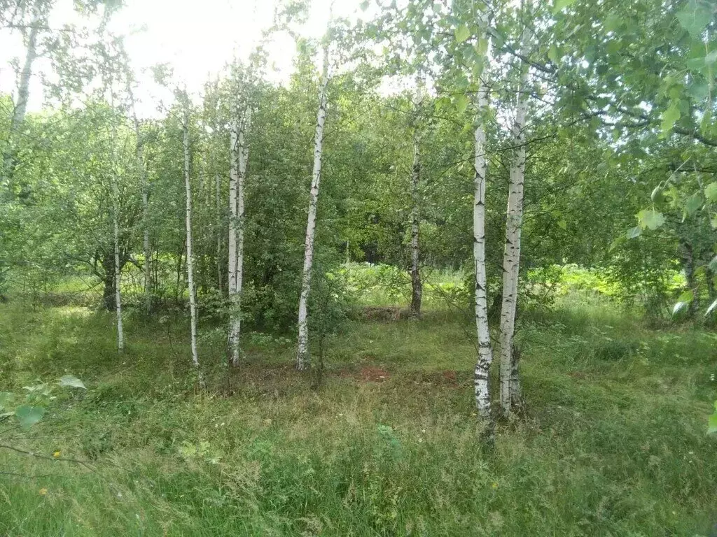 Участок в Нижегородская область, городской округ Чкаловск, деревня ... - Фото 0