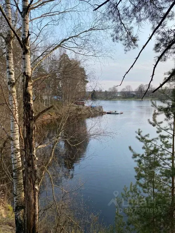 Участок в Ленинградская область, Гатчинский район, Вырица городской ... - Фото 0